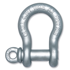 Forged Anchor Shackle with Screw Pin ()